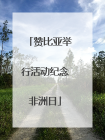 赞比亚举行活动纪念非洲日
